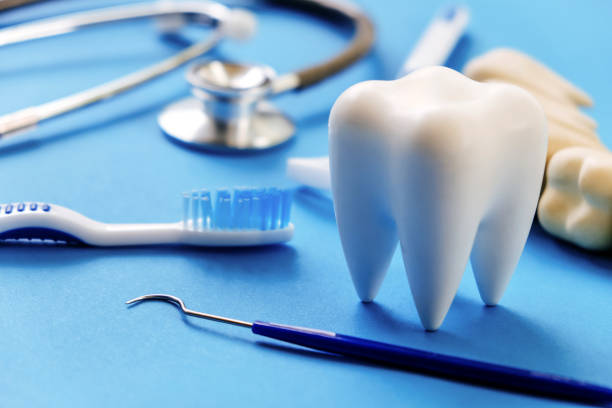 Our Range of Dental Services in Horizon West, FL